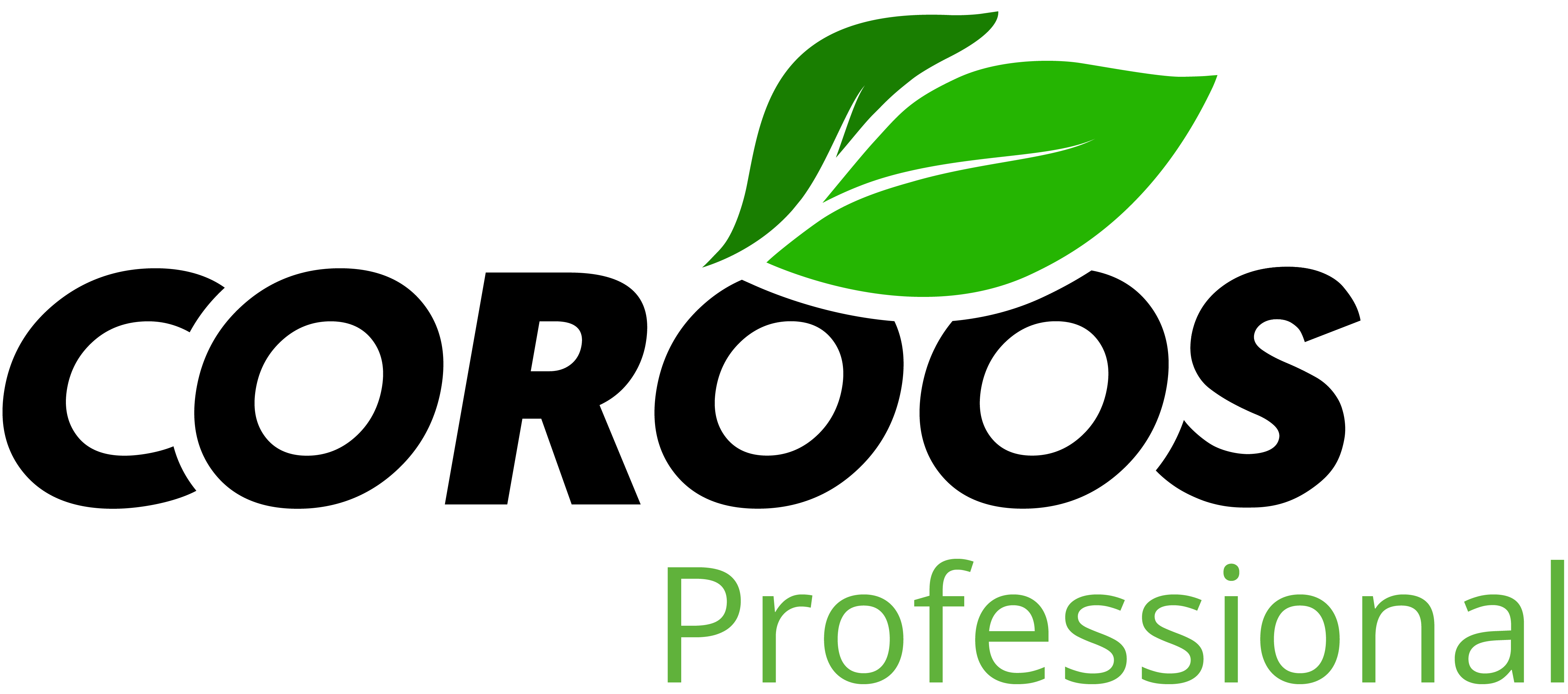 COROOS Professional logo