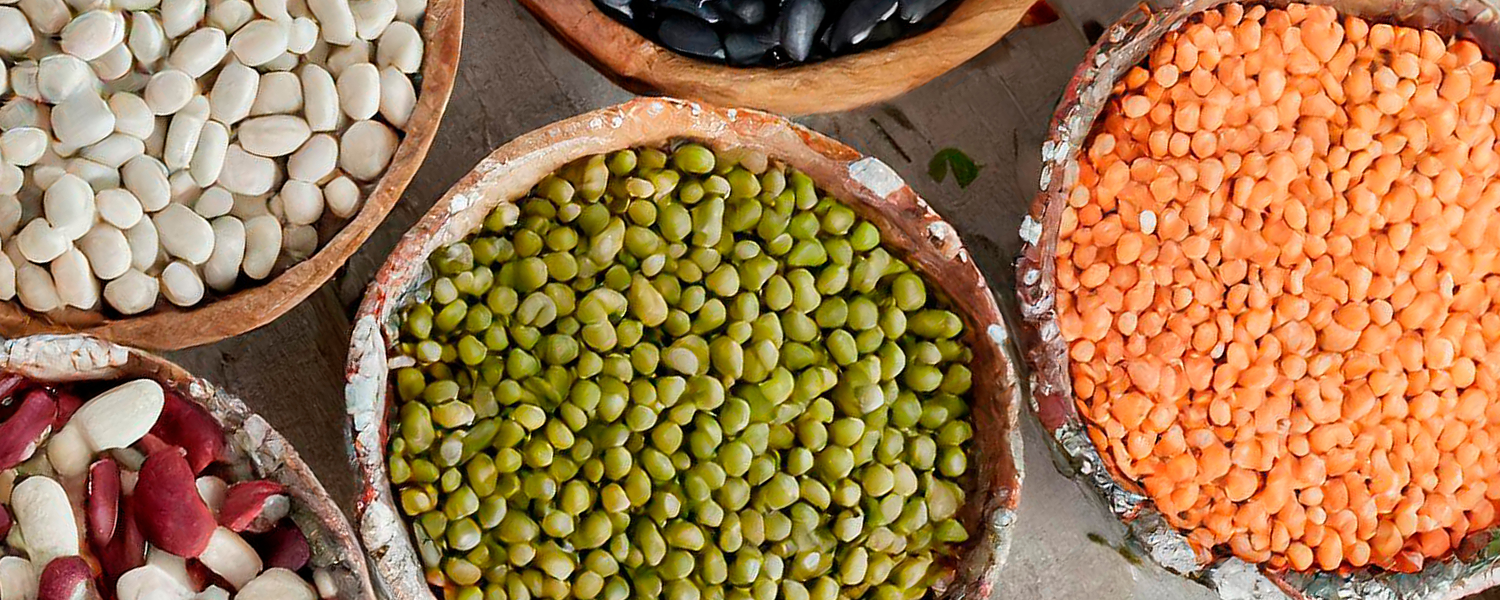 Polybags foodservice