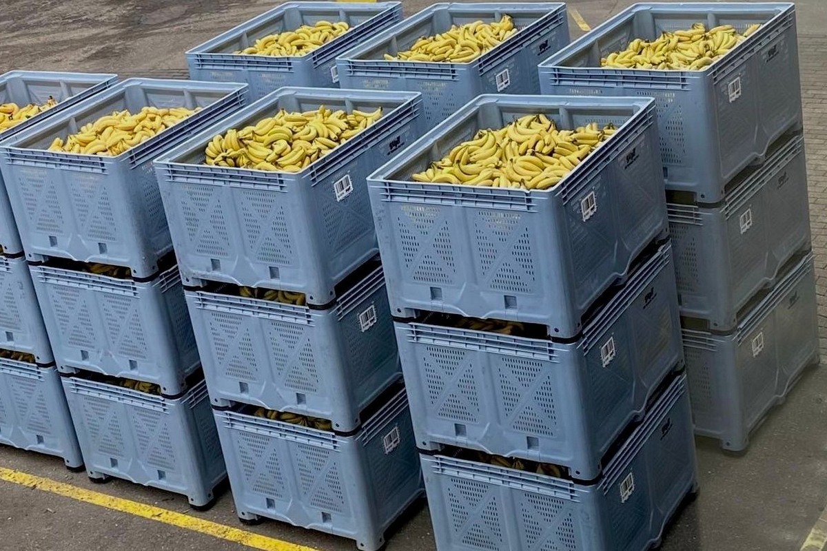 Bananenpuree van afgekeurde biologische bananen | COROOS